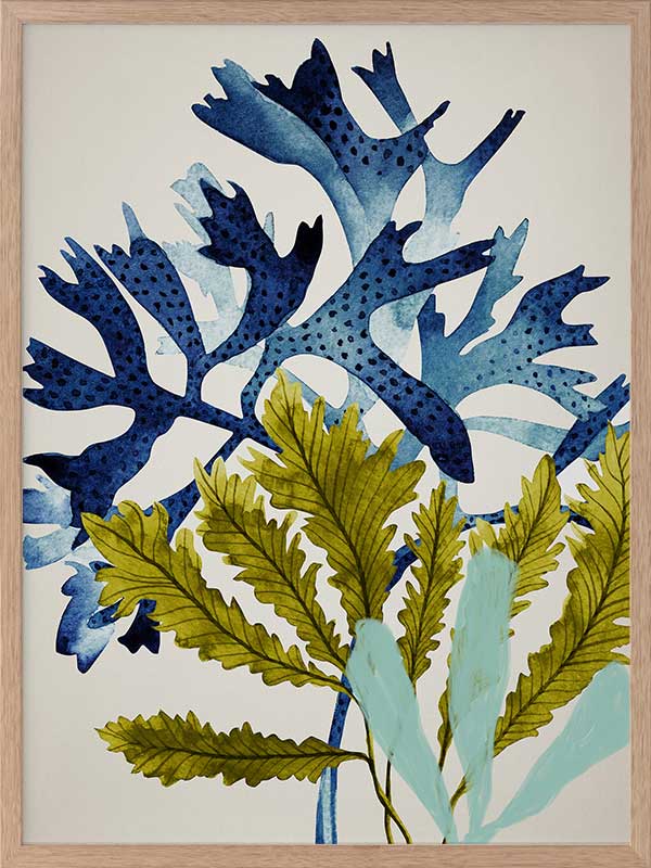 Marion Reef Poster Framed Art Print