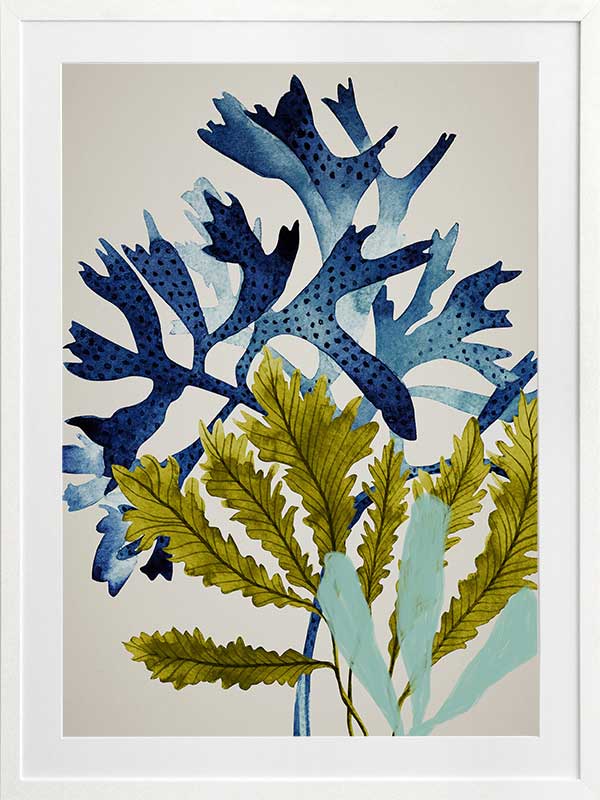 Marion Reef Poster Framed Art Print