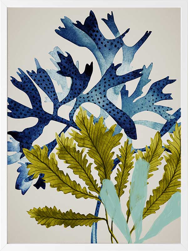 Marion Reef Poster Framed Art Print