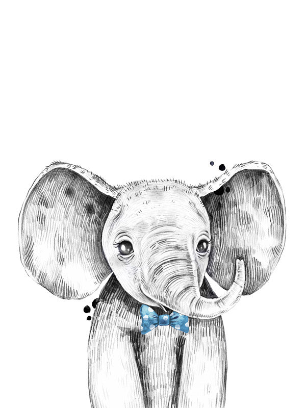 Errol Elephant Canvas Art Print