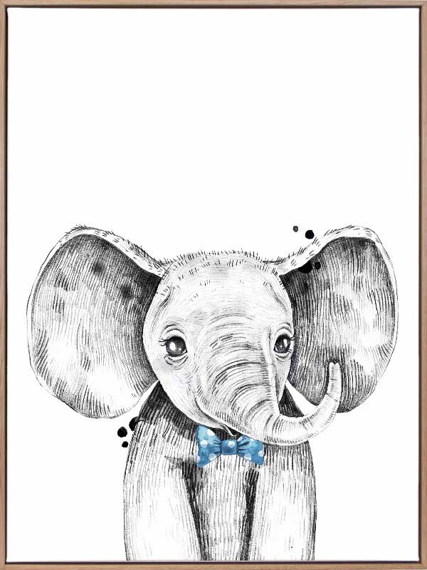 Errol Elephant Canvas Art Print