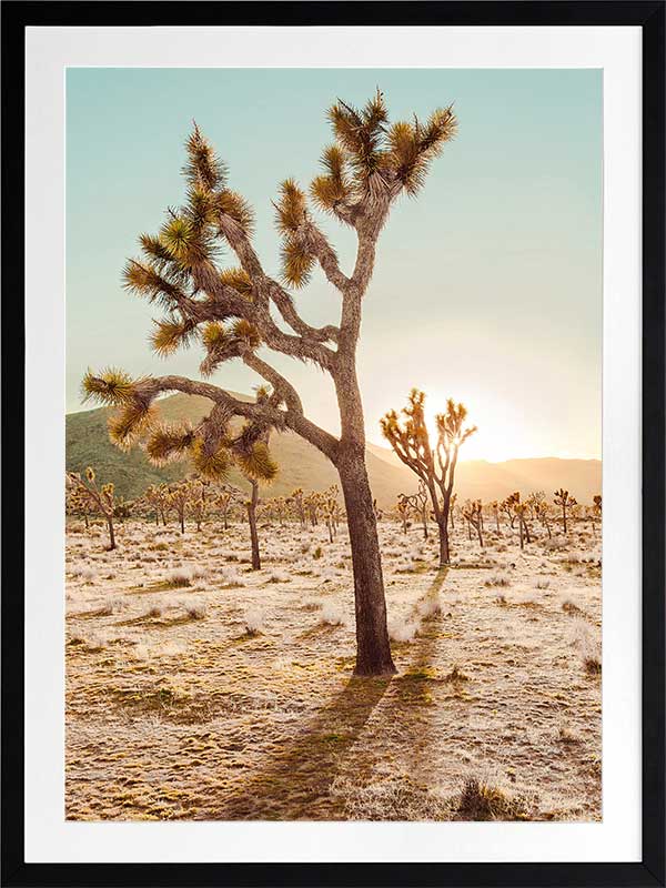 Cadiz Valley Poster Framed Art Print