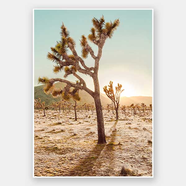 Cadiz Valley Unframed Art Print