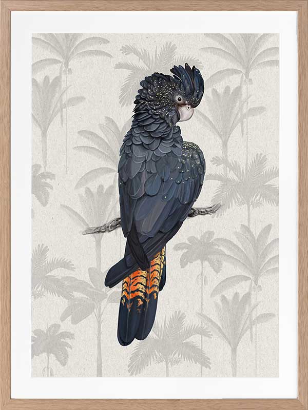 Tropical Cockatoo Poster Framed Art Print