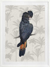 Tropical Cockatoo Poster Framed Art Print