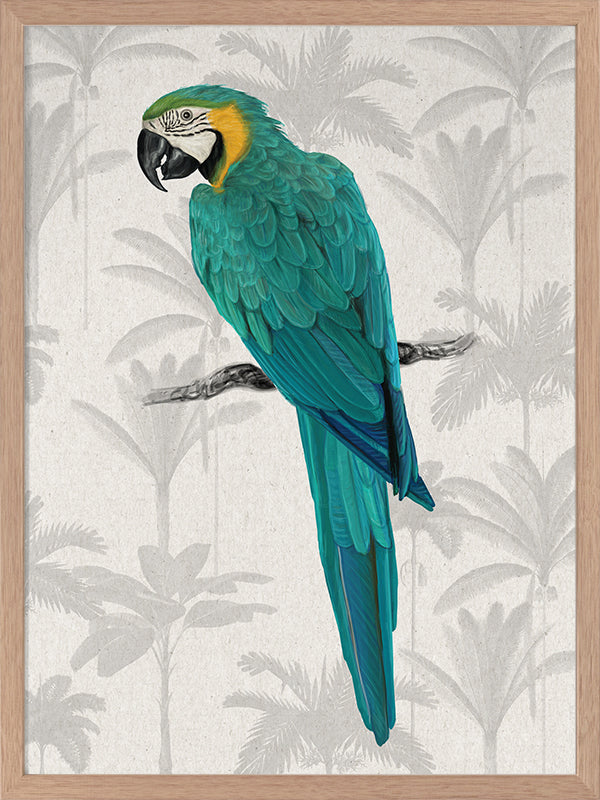 Tropical Macaw Poster