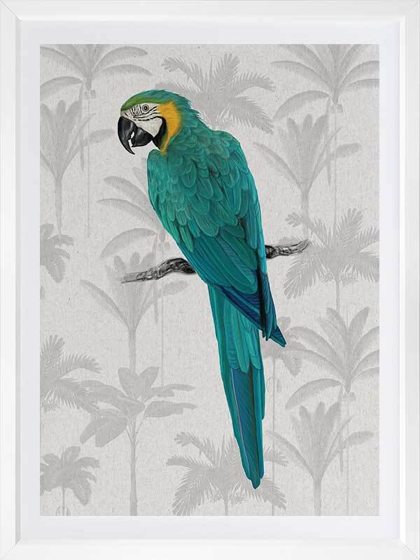 Tropical Macaw Poster