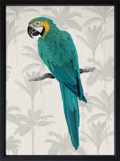 Tropical Macaw Poster