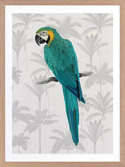 Tropical Macaw Poster