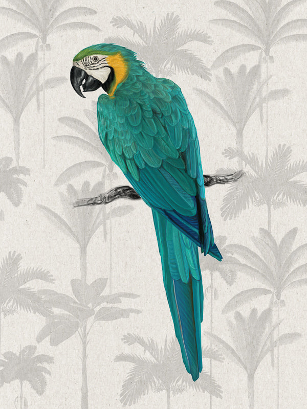 Tropical Macaw Unframed Art Print