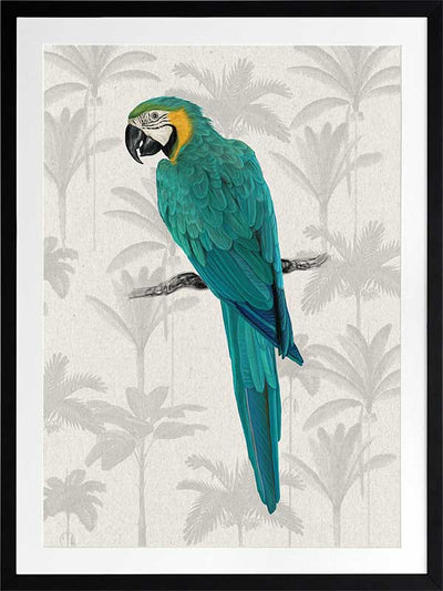 Tropical Macaw Poster Framed Art Print