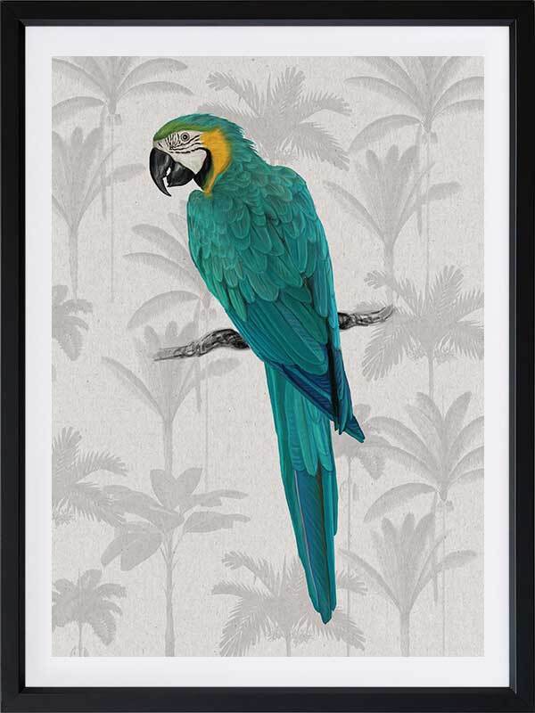 Tropical Macaw Poster