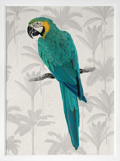 Tropical Macaw Poster