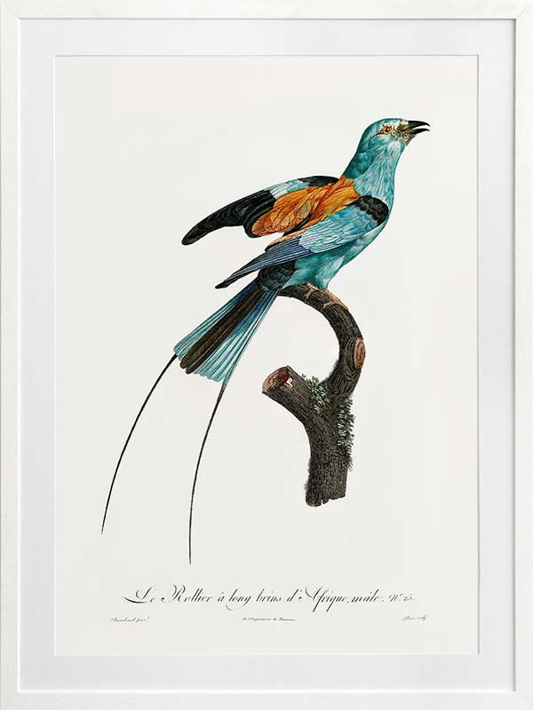 Songbird I Poster Framed Art Print