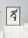 Songbird I Poster Framed Art Print | Lifestyle