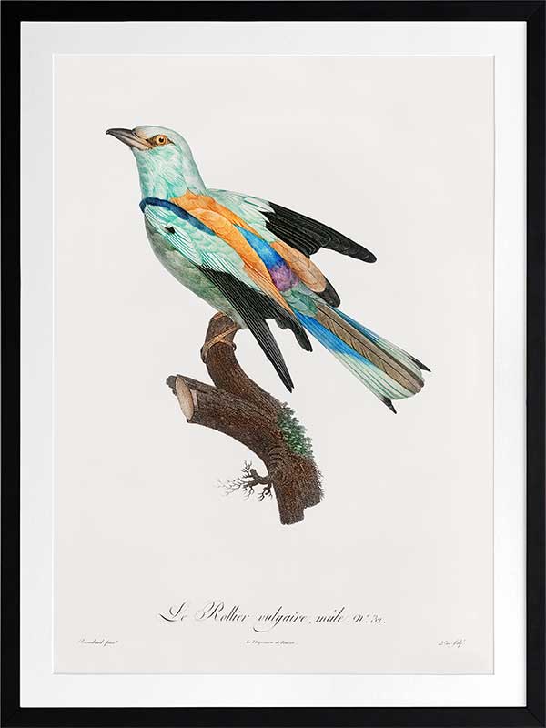 Songbird II Poster Framed Art Print