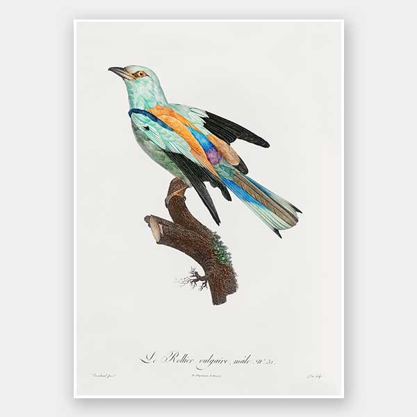 Songbird II Unframed Art Print