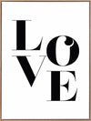 Big Love Canvas Art Print