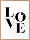 Big Love Poster Framed Art Print