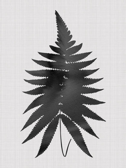 Fern Black Canvas Art Print