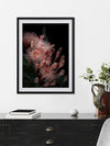 Eucalyptus Flowers Poster Framed Art Print | Lifestyle