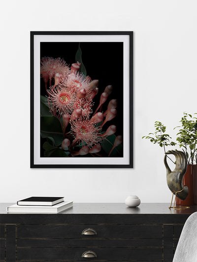Eucalyptus Flowers Poster Framed Art Print | Lifestyle