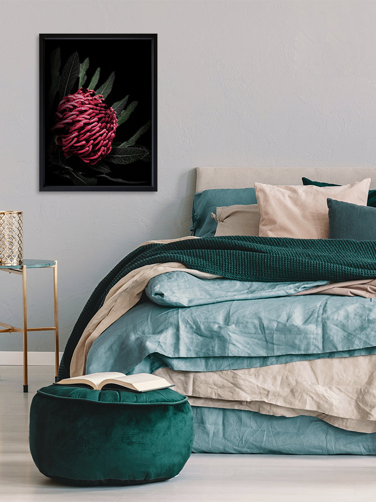 Waratah Poster Framed Art Print | Lifestyle