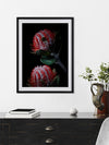 Banksia Coccinea Poster Framed Art Print | Lifestyle