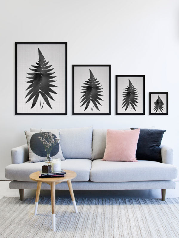 Fern Black Poster