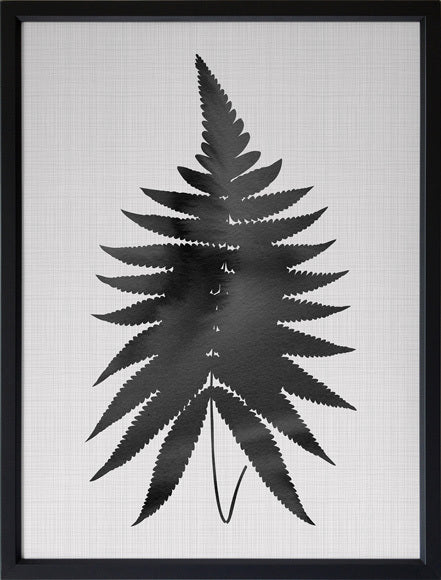 Fern Black Poster