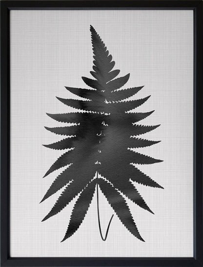 Fern Black Poster