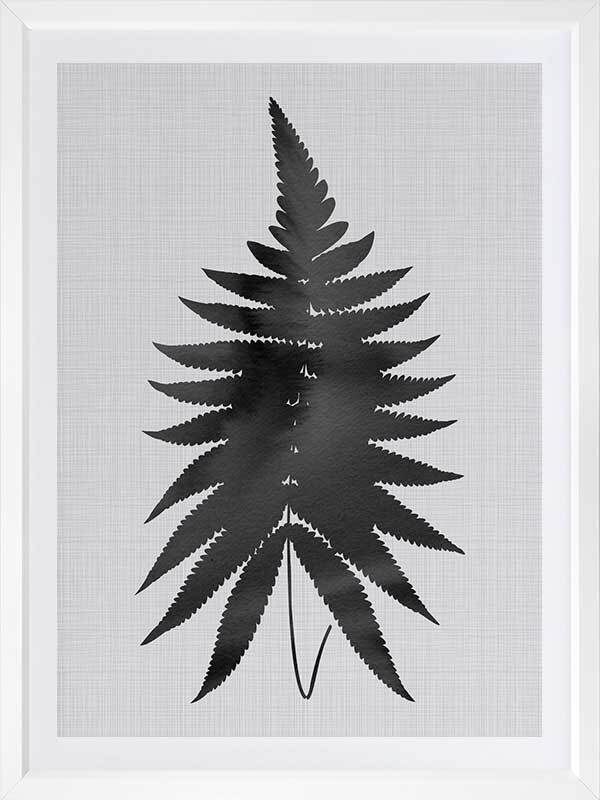 Fern Black Poster