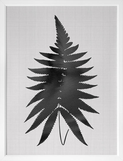 Fern Black Poster