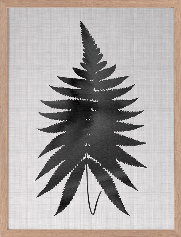 Fern Black Poster