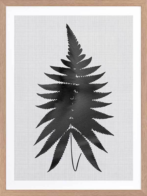 Fern Black Poster