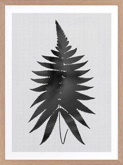 Fern Black Poster