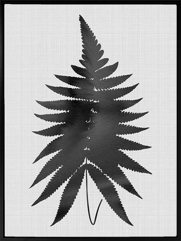 Fern Black Canvas Art Print