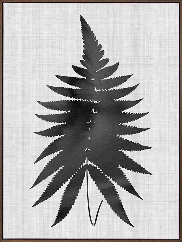 Fern Black Canvas Art Print