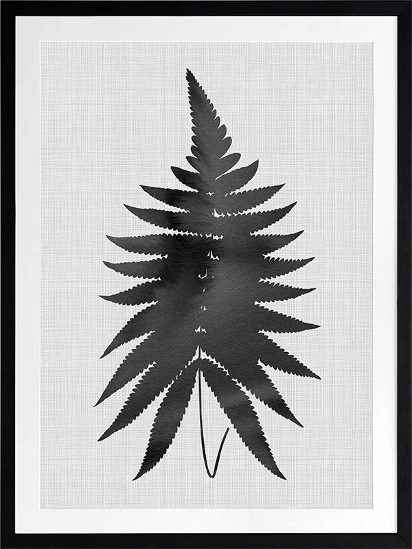Fern Black Poster Framed Art Print