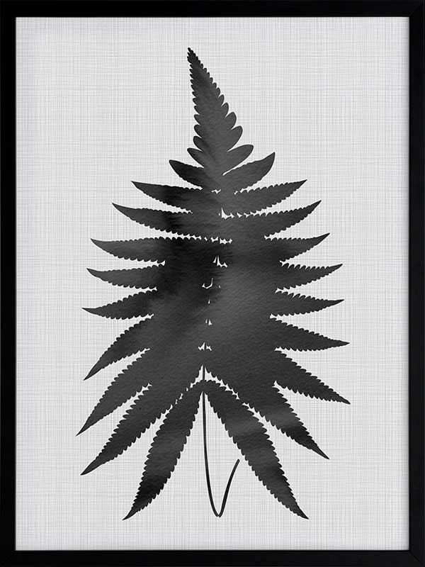 Fern Black Poster Framed Art Print