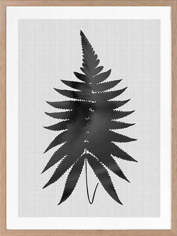 Fern Black Poster Framed Art Print