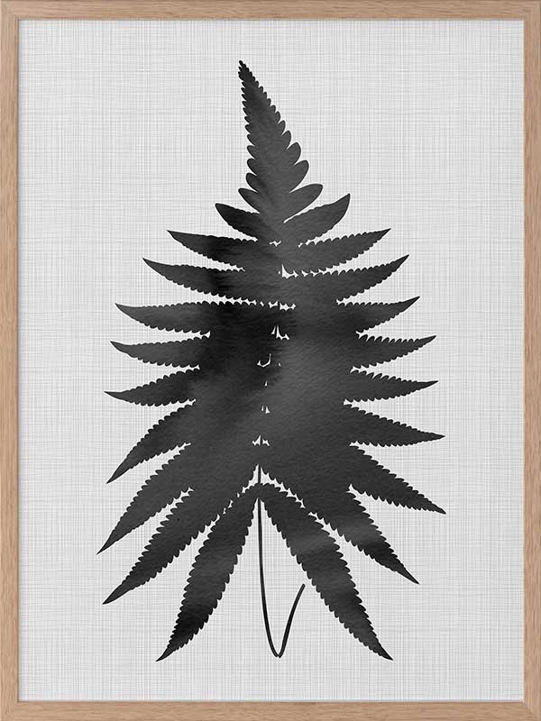 Fern Black Poster Framed Art Print