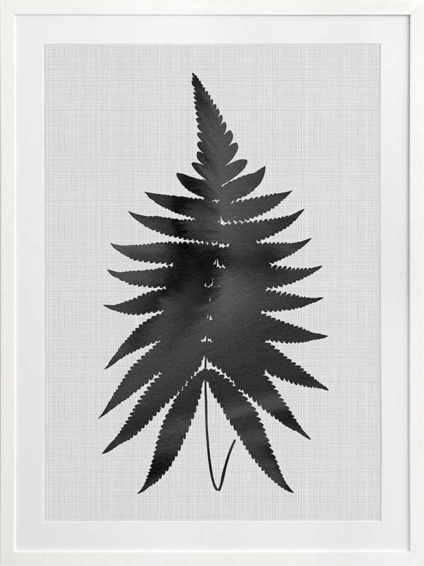 Fern Black Poster Framed Art Print