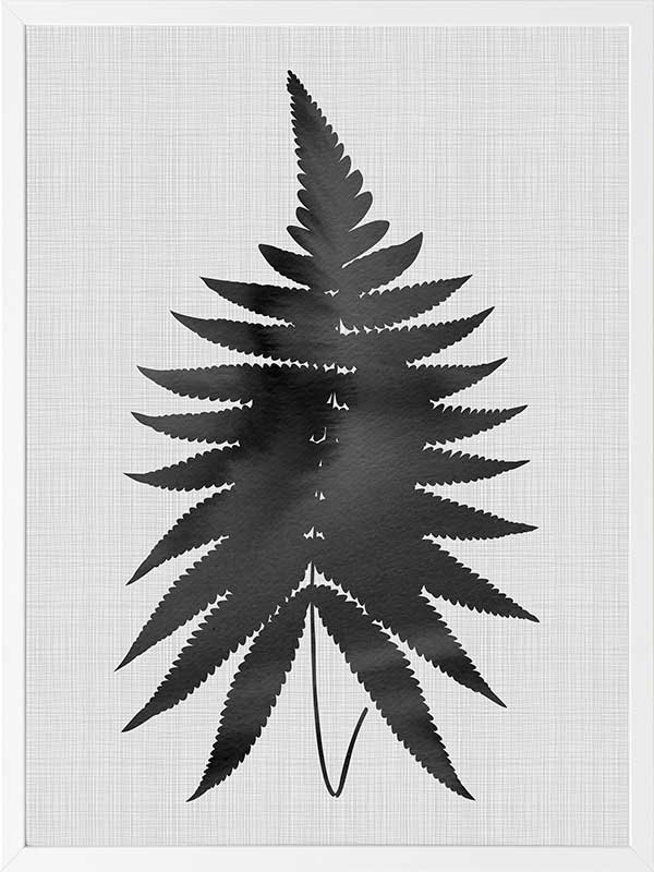Fern Black Poster Framed Art Print