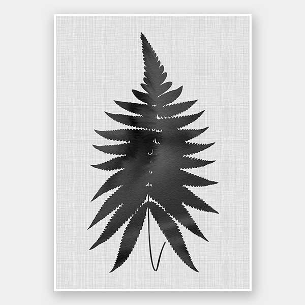 Fern Black Unframed Art Print