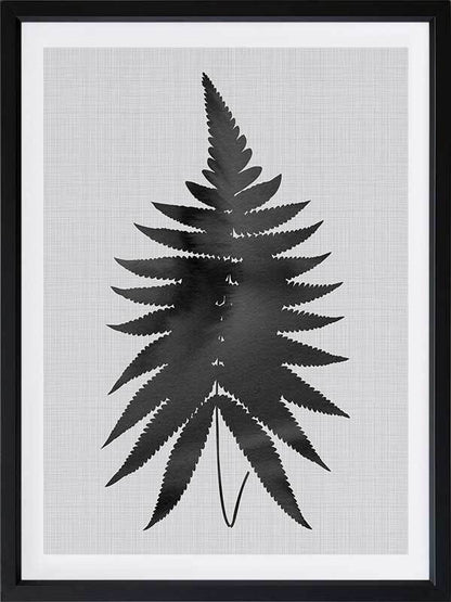 Fern Black Poster