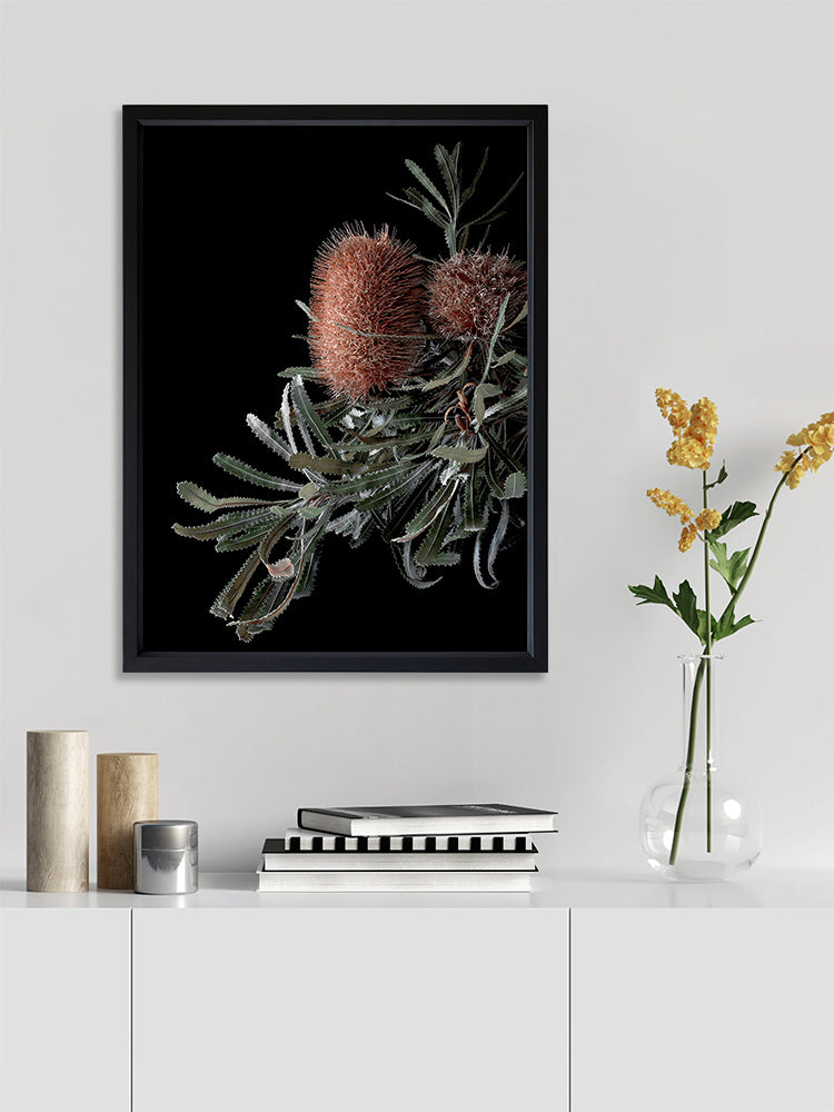 Wild Banksia Poster Framed Art Print | Lifestyle