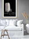 White Banksia I Poster Framed Art Print | Lifestyle