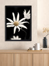 Flannel Flower Poster Framed Art Print | Lifestyle