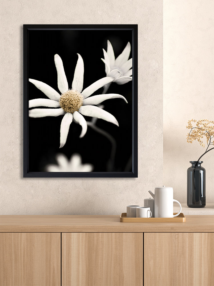 Flannel Flower Poster Framed Art Print | Lifestyle